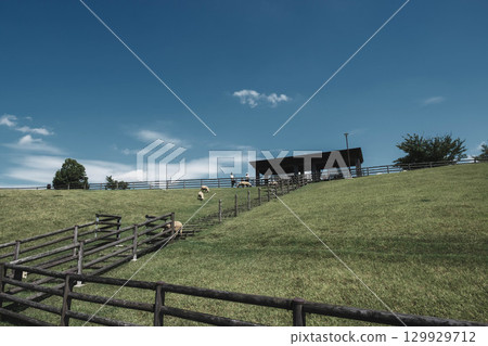 【宇陀動物公園】可愛綿羊自由自在的風景 129929712