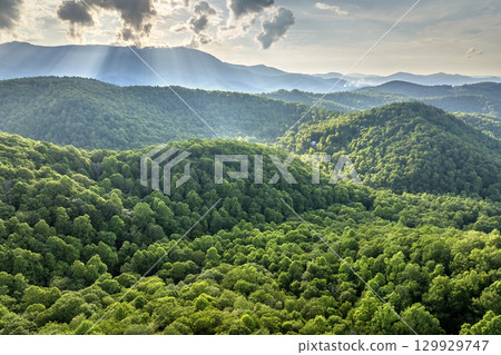 Morning forest in North Carolina Appalachian mountains, USA. Mount Mitchell peak in Blue Ridge Mountains. American nature in summer season 129929747