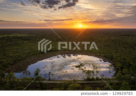 Sunset landscape in wetland forest. Beautiful lake nature in evening Sunset landscape in wetland forest. Beautiful lake nature in evening 129929783