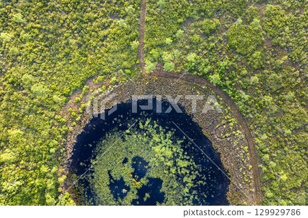 Beautiful nature landscape. Forest lake wildlife in Florida Beautiful nature landscape. Forest lake wildlife in Florida 129929786