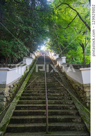 滋賀大津西教寺通往信勝僧人陵墓的石階 129929802