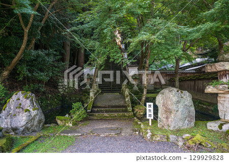 滋賀大津西寺寶勝池和通往真勝和尚陵墓的石階 129929828