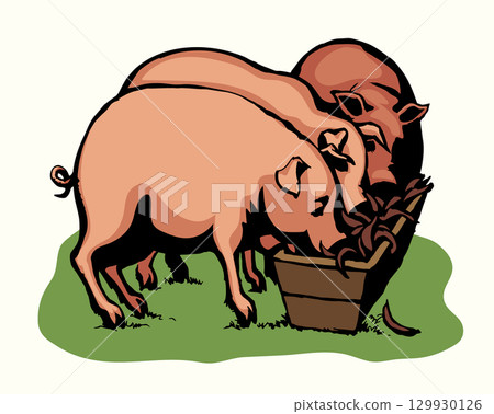 Vector drawing. Pigs eating rhe food 129930126