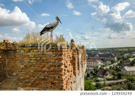 White and black stork bird standing on an old ruined building in summer. White and black stork bird standing on an old ruined building in summer. 129930249