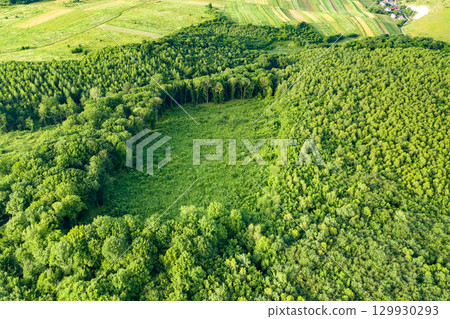 Top down aerial view of green summer forest with large area of cut down trees as result of global deforestation industry. Harmful human influence on world ecology. 129930293