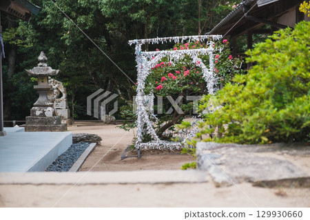 [Hakuto Shrine] A historic shrine in Tottori 129930660