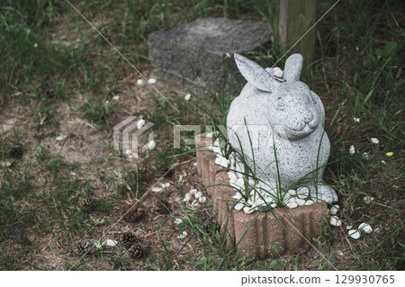 [Hakuto Shrine] A historic shrine in Tottori with a cute stone rabbit statue 129930765