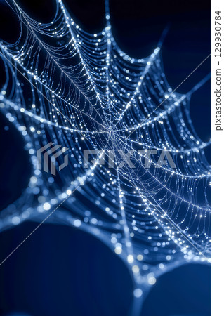 燈光照亮的奇妙蜘蛛網 129930784