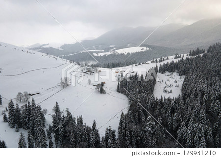Aerial foggy landscape with evergreen pine trees covered with fresh fallen snow after heavy snowfall in winter mountain forest on cold quiet evening. 129931210
