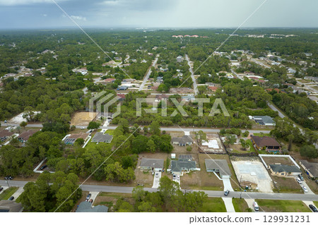 Aerial landscape view of suburban private houses between green palm trees in Florida rural area 129931231
