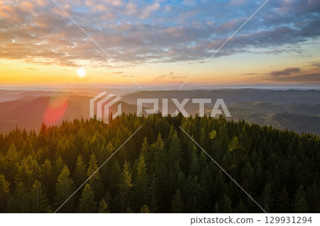 Dark pine forest illuminated with bright setting sun. Aerial view of colorful sunset in wild mountains. Beautiful nature landscape Dark pine forest illuminated with bright setting sun. Aerial view of colorful sunset in wild mountains. Beautiful nature landscape 129931294
