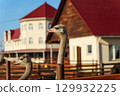 Ostriches gather in a dusty farmyard under bright sunlight during the late afternoon in rural surroundings 129932225