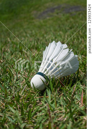 Shuttlecock on the grass 129933424