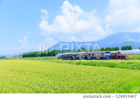 夏季，南阿蘇鐵路上的「悠菅」電車穿梭於鄉村之中 129933467