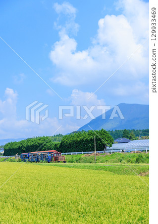 The Yusuge trolley train runs through the countryside in summer on the Minamiaso Railway 129933469