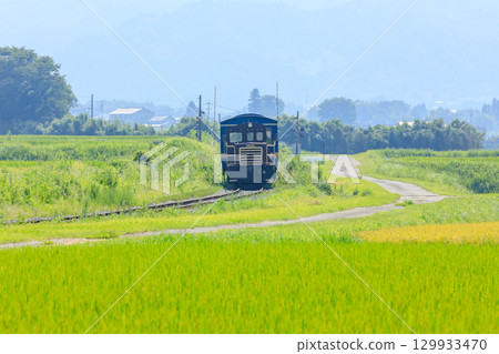 夏季,南阿蘇鐵路上的「悠菅」電車穿梭於鄉村之中 夏季,南阿蘇鐵路上的「悠菅」電車穿梭於鄉村之中 129933470