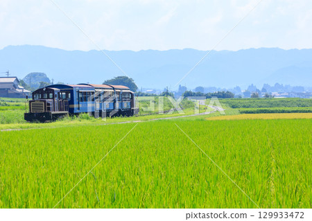 夏季，南阿蘇鐵路上的「悠菅」電車穿梭於鄉村之中 129933472