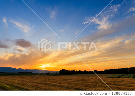 A sunset 129934133
