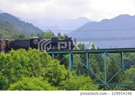 Chichibu Railway (steam locomotive) 129934146