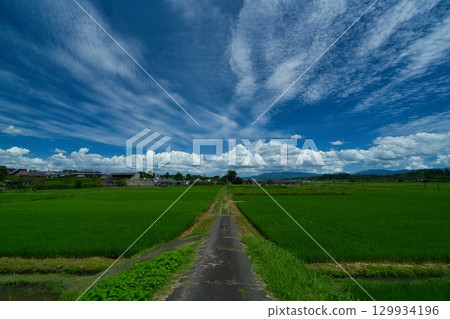 Summer in Miyakonojo, R7 129934196