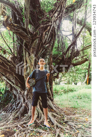 Gajumaru and sanshin 129934743