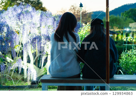 紫藤花和姐妹從背後 129934863