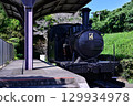 A steam locomotive standing among the fresh greenery 129934978