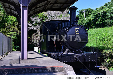A steam locomotive standing among the fresh greenery 129934978