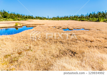 岩手縣八幡平市的黑谷地濕原 129934992