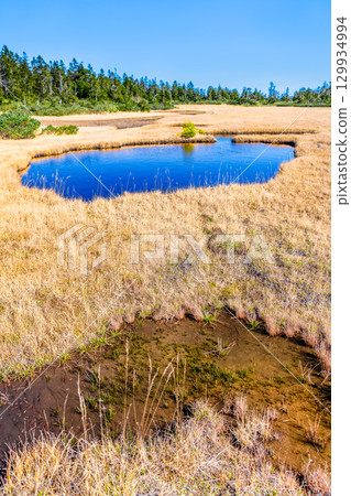 岩手縣八幡平市的黑谷地濕原 岩手縣八幡平市的黑谷地濕原 129934994