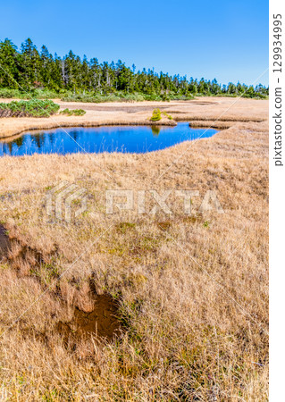 Kuroyachi Marsh in Hachimantai, Iwate Prefecture 129934995