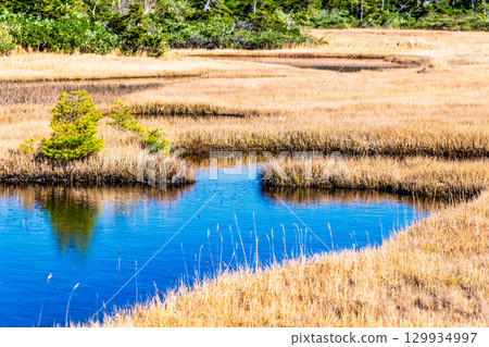 岩手縣八幡平市的黑谷地濕原 岩手縣八幡平市的黑谷地濕原 129934997