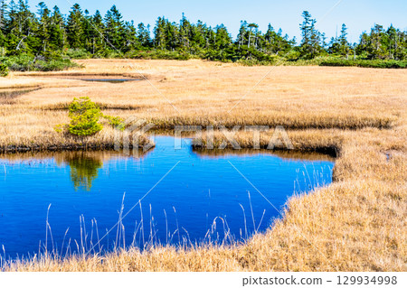 岩手縣八幡平市的黑谷地濕原 129934998