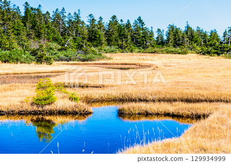 Kuroyachi Marsh in Hachimantai, Iwate Prefecture 129934999