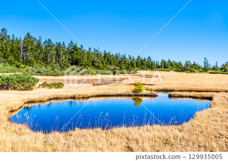 Kuroyachi Marsh in Hachimantai, Iwate Prefecture 129935005