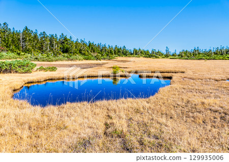 岩手縣八幡平市的黑谷地濕原 129935006