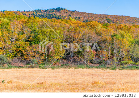 Autumn at Gozaisho Marsh in Hachimantai, Iwate 129935038