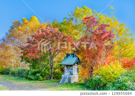 赤沼神社,秋天的御在所公園,岩手縣八幡平市 赤沼神社,秋天的御在所公園,岩手縣八幡平市 129935084