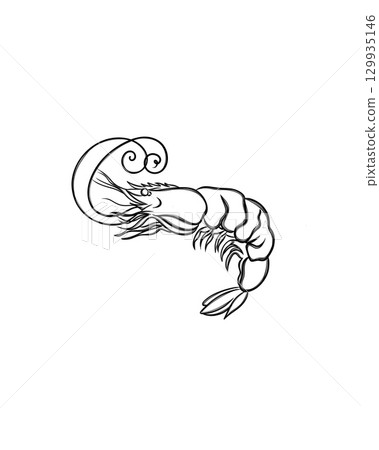Shrimp sketch. hand drawn Shrimp outline illustration. Shrimp black and white drawing. Shrimps line art drawing Shrimp sketch. hand drawn Shrimp outline illustration. Shrimp black and white drawing. Shrimps line art drawing 129935146
