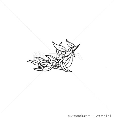 Christmas twig with leaves and berries freehand sketch. Christmas festival, New year invitations, or greeting cards.  129935161