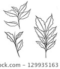 leaf pant line art. Minimalistic line drawing. leaf line art. Botanical drawing illustration by hand. 129935163