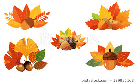 秋天的樹葉和落葉插圖集 129935168