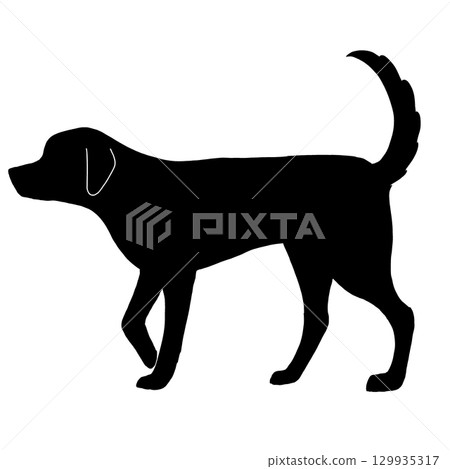 Walking dog silhouette - simple illustration 129935317