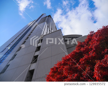 景觀與建築 景觀與建築 129935572