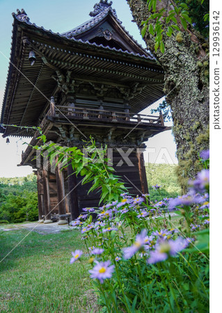 寺廟內花盛開 寺廟內花盛開 129936142