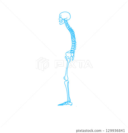 Hunchbacked skeleton silhouette material (transparent background PNG) 129936841