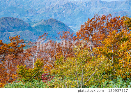 秋田：森吉山紅葉盛放 129937517