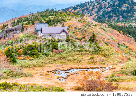 秋田：森吉山紅葉盛放 129937532