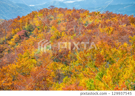 Akita: Mount Moriyoshi dyed in autumn leaves 129937545
