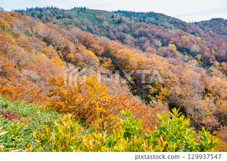 秋田:森吉山紅葉盛放 秋田:森吉山紅葉盛放 129937547